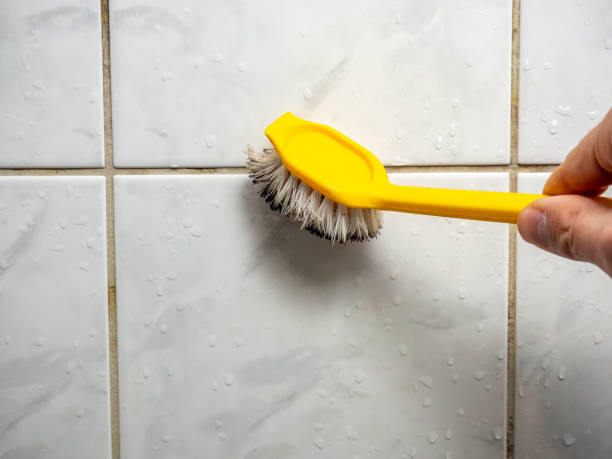 Best Mold Removal Company Near Me  in Eldorado, TX