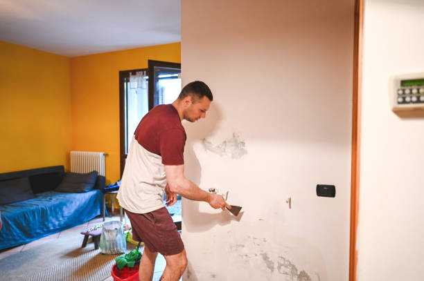 Best Same-Day Mold Removal  in Eldorado, TX